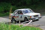 Rally Bohemia 2013